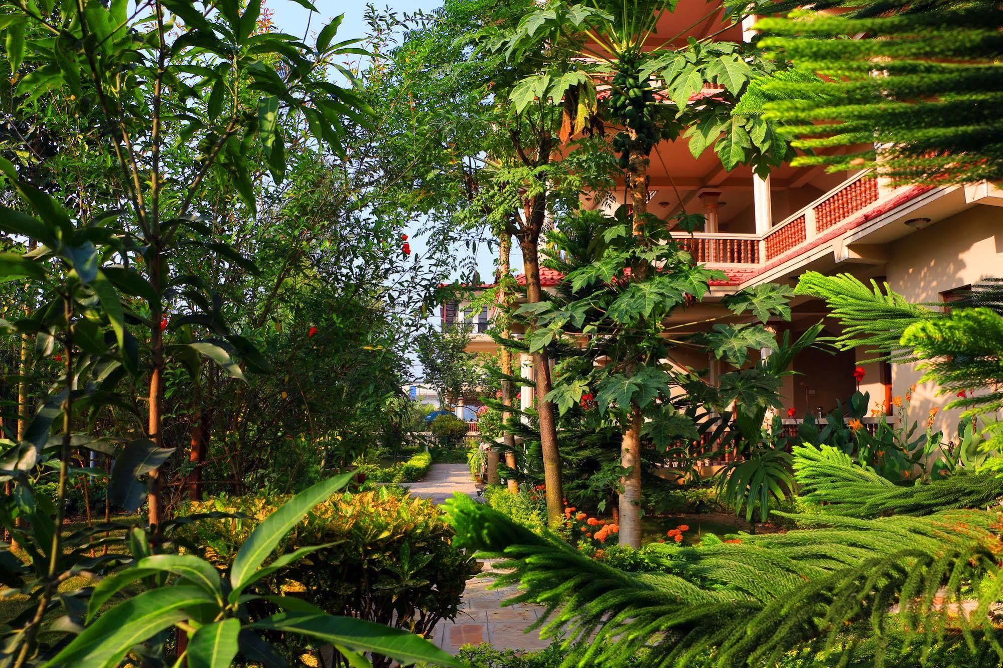 Hotel Royal Safari Sauraha Exteriér fotografie